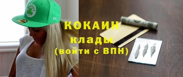 дживик Новозыбков