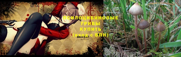дживик Новозыбков