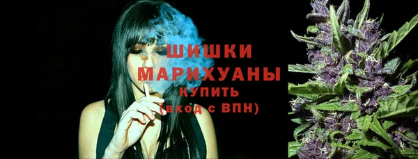 дживик Новозыбков