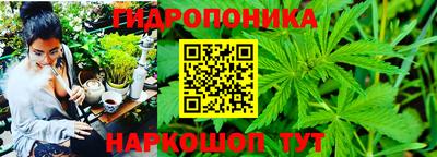альфа пвп VHQ Гай