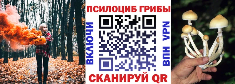darknet Telegram  Канск  Галлюциногенные грибы прущие грибы 